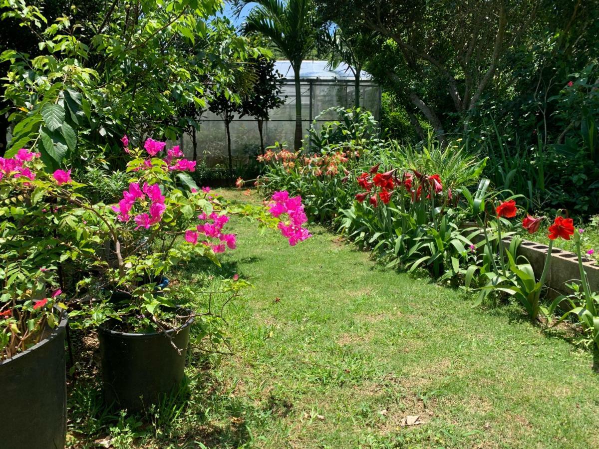 Villa Sound Of The Surf Ishigaki  Exterior foto